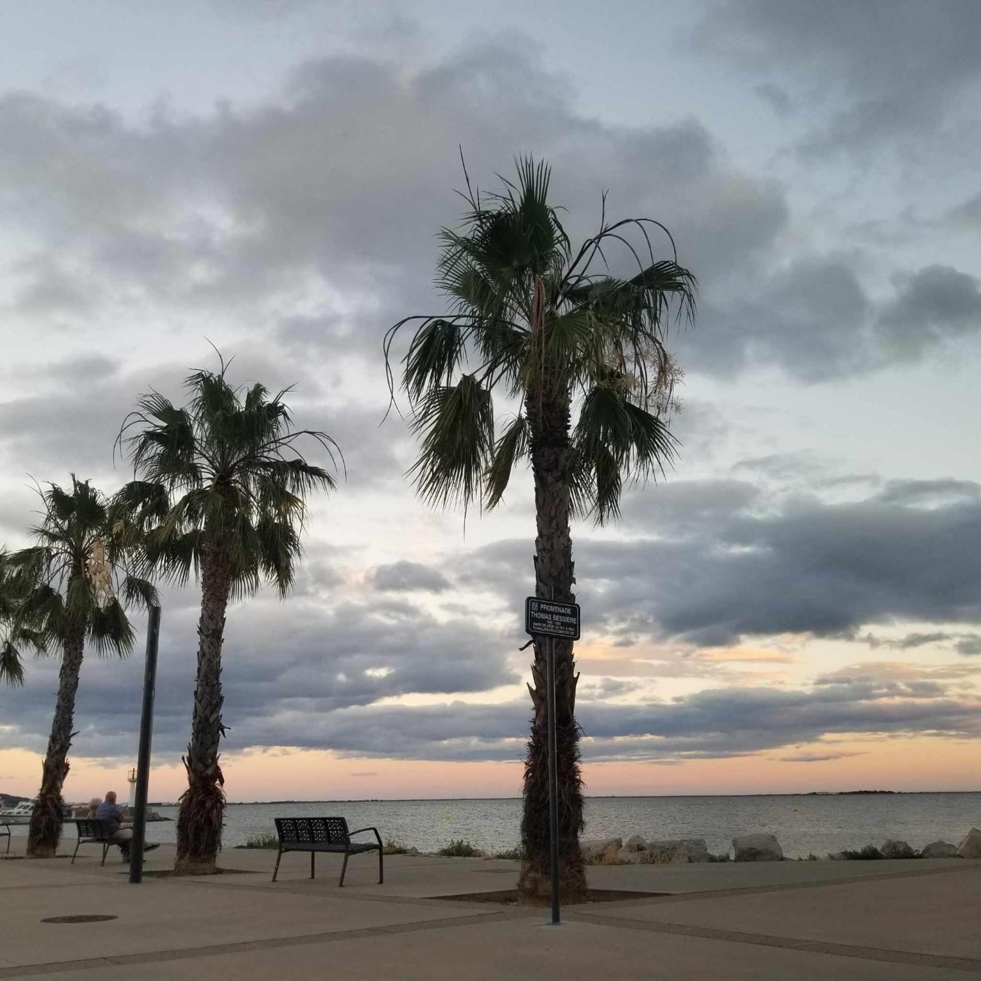 Vila La Baraquette De Thau Mèze Exteriér fotografie